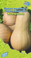 Тыква мускатная «Жемчужина»