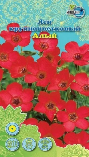 Лен крупноцветковый «Алый»