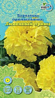Бархатцы «Лимонный принц»
