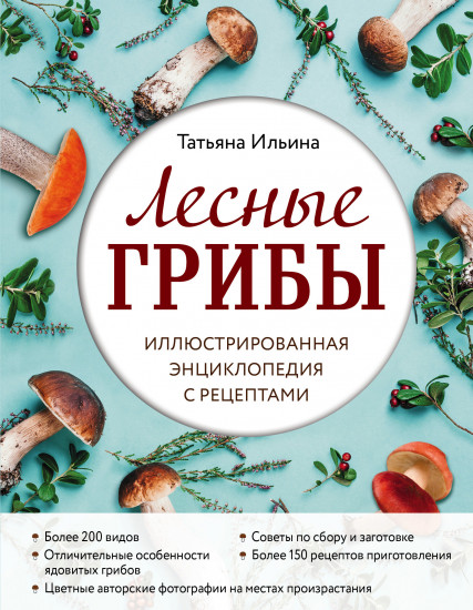 Лесные грибы