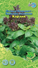 Базилик «Карлик»