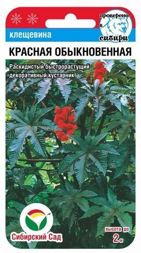 Клещевина «Красная обыкновенная»