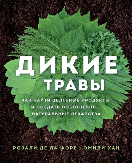 Дикие травы. Как найти целебные продукты