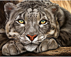 Мозаика алмазная с нанесенной рамкой «Барс»
