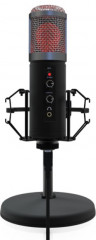 Микрофон студийный Ritmix RDM-260