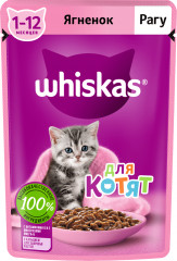 Корм для котят