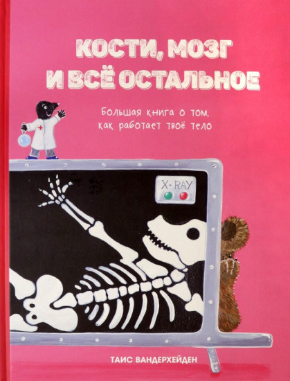 Кости, мозг и всё остальное