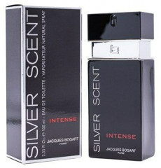 Туалетная вода «Silver Scent Intense»