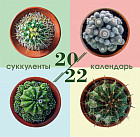Суккуленты. Календарь настенный на 2022 год