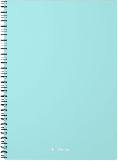 Тетрадь общая ученическая «Pastel Mint»