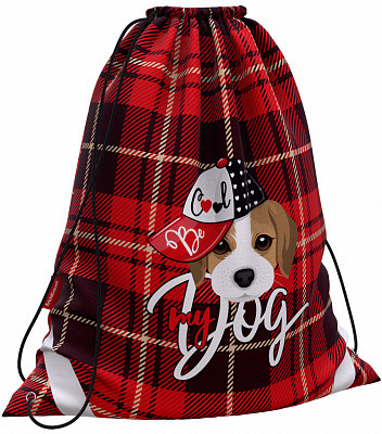 Мешок для обуви