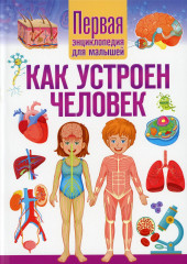 Как устроен человек
