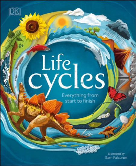 Life cycles