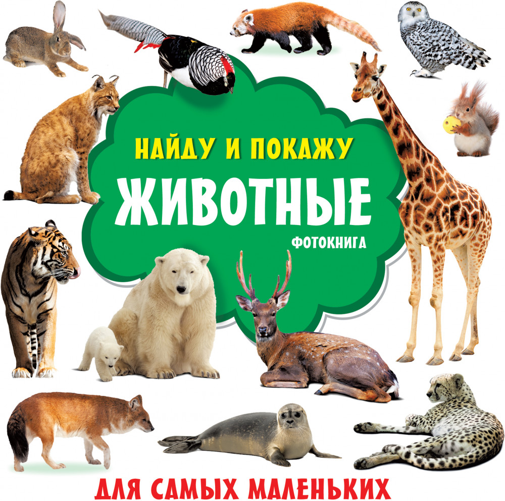 Животные. Фотокнига | Найду и покажу: книжка для самых маленьких