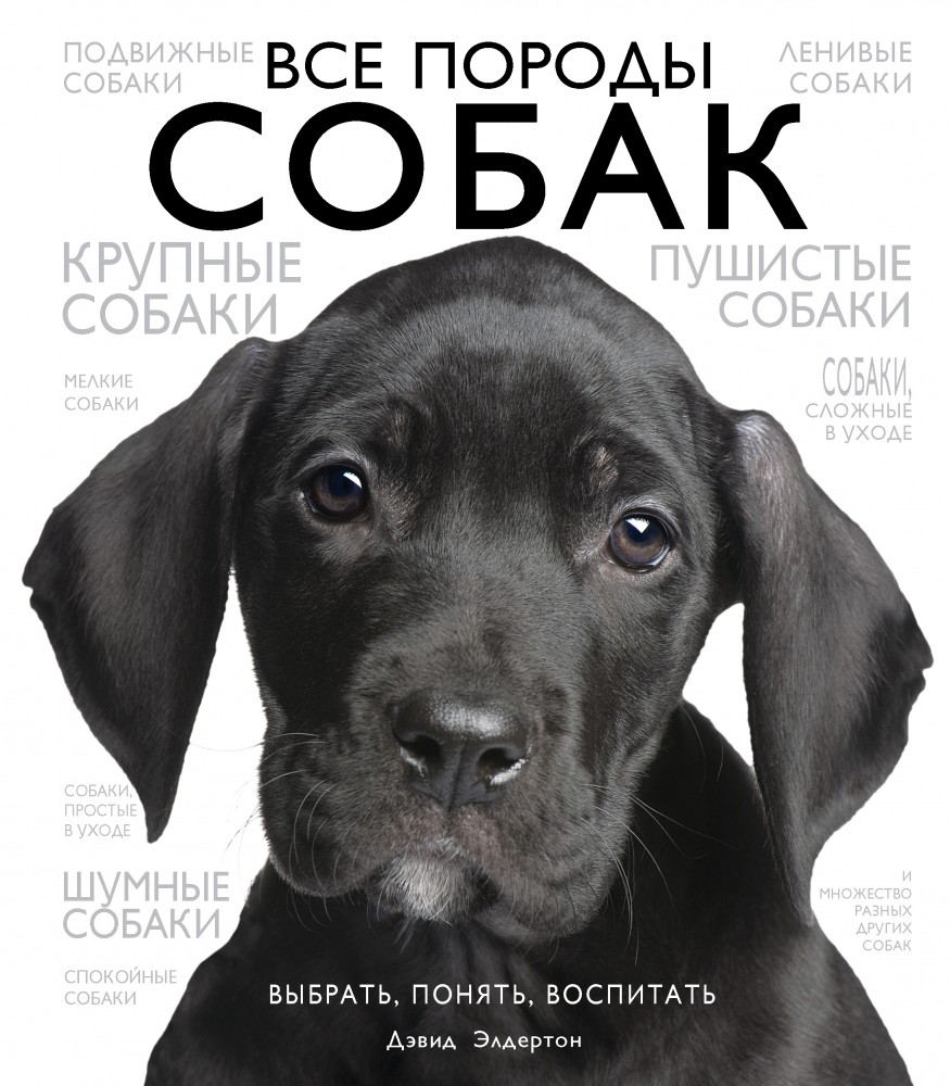 Все породы собак | Домашние питомцы. Зоологи рекомендуют