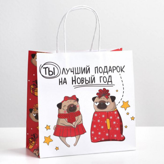 Пакет подарочный «Ты - лучший подарок»