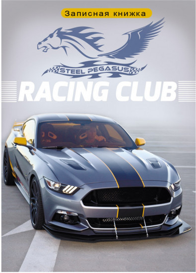 Записная книжка «Серое авто с полосой»