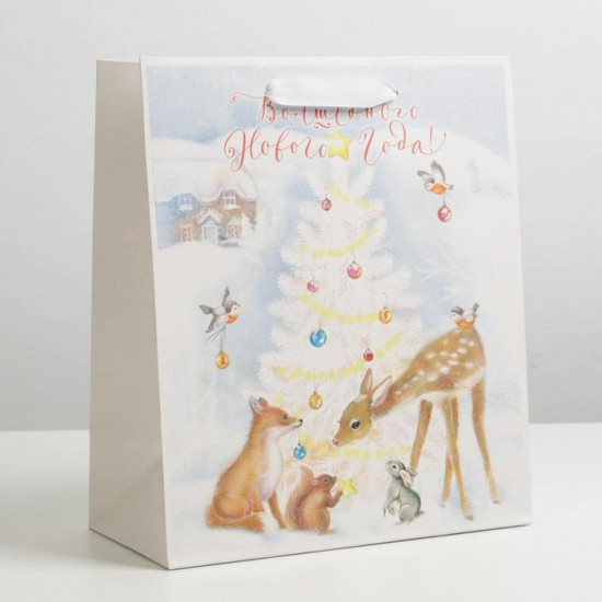 Пакет подарочный «Волшебного Нового года»