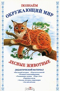 Дидактический материал "Познаём окружающий мир". "Лесные животные" | Познаем окружающий мир