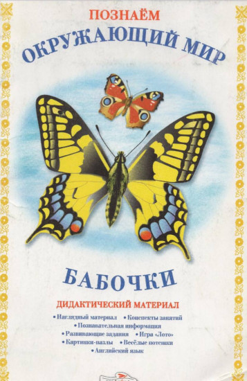 Бабочки