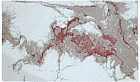 70×120 см