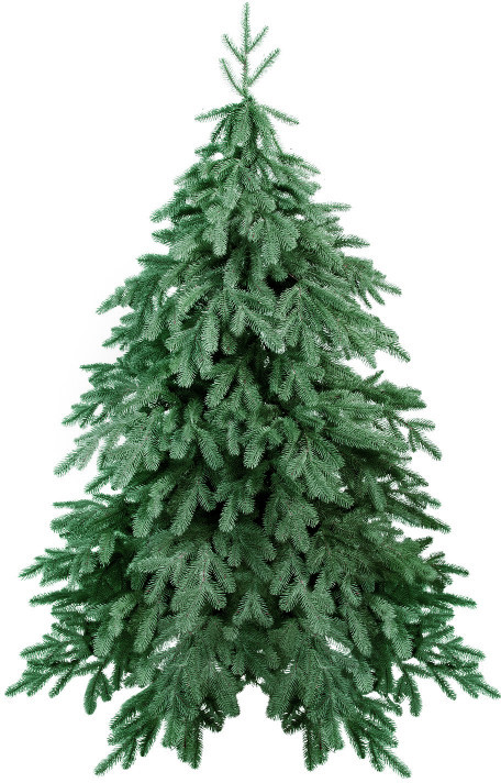 Елка «Berta»
