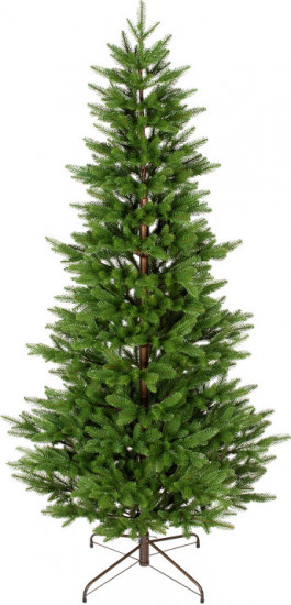 Елка «Ollendorf»