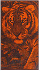 Полотенце махровое «Amur tiger»