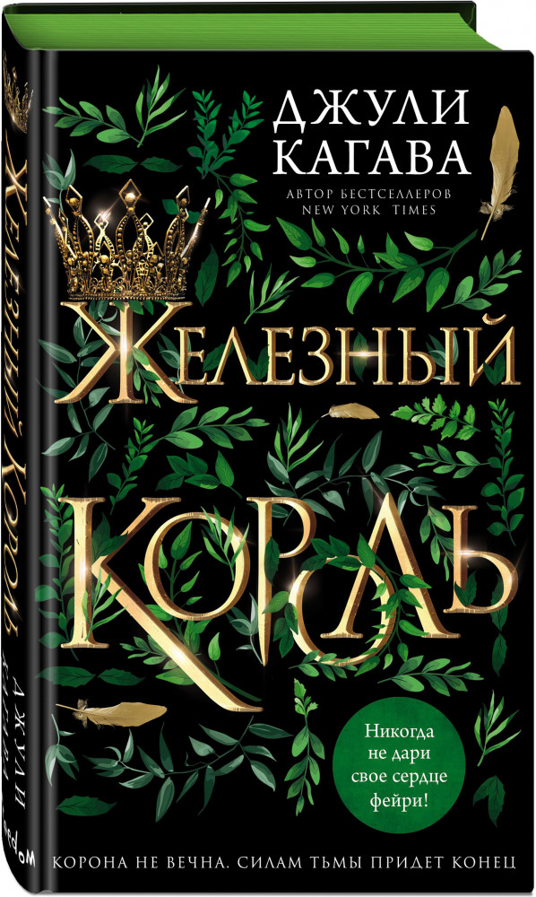 Железный король | Young Adult. Железные фейри