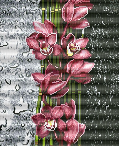 Мозаика алмазная «Распустившиеся орхидея» | Paintboy