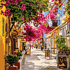 Картина по номерам «Цветочная улица»
