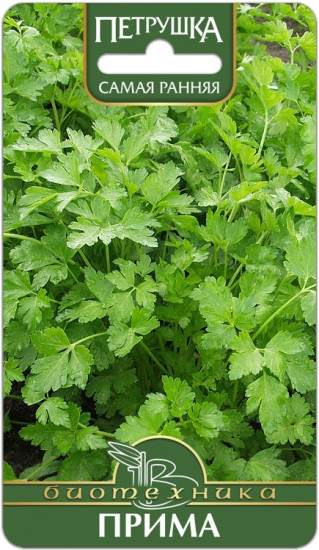 Петрушка листовая «Прима»
