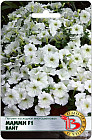 Петуния каскадная «Мамми F1 Вайт»