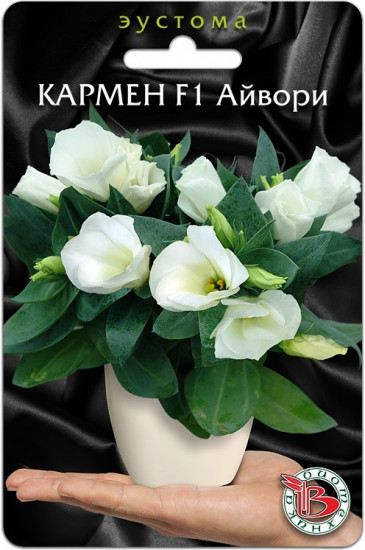 Эустома горшечная «Кармен F1 Айвори»