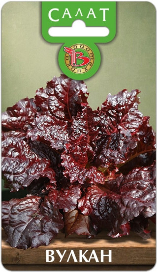 Салат «Вулкан»
