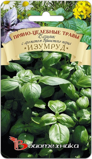Базилик «Изумруд»