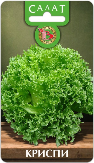Салат «Криспи»