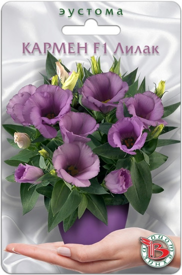 Эустома горшечная «Кармен F1 Лилак»
