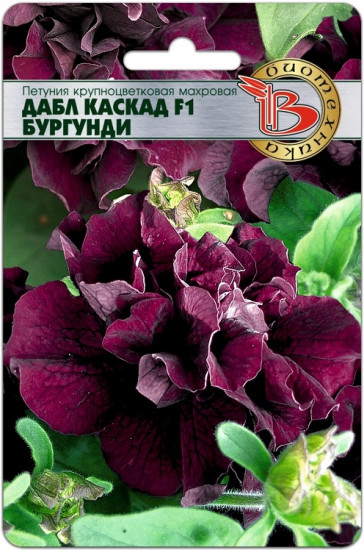 Петуния крупноцветковая