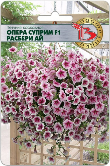 Петуния каскадная