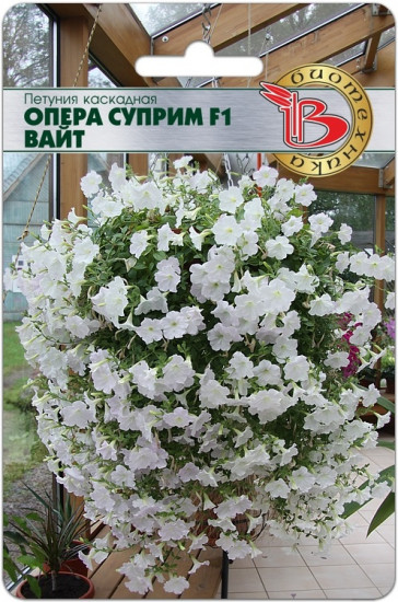 Петуния каскадная
