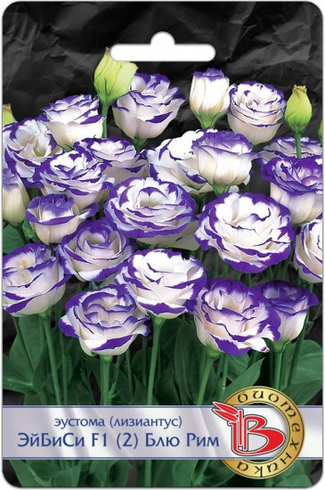 Эустома срезочная «ЭйБиСи F1 (2) Блю Рим»