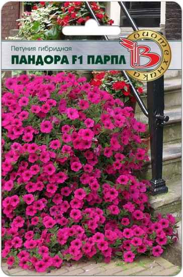 Петуния каскадная
