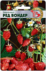 Земляника «Ред Вондер»