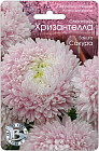 Астра китайская «Хризантелла Сакура»