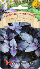 Базилик «Фиолетовый бархат»