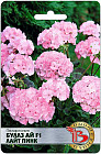 Пеларгония «Буллз Ай F1 Лайт Пинк»