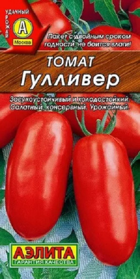 Томат «Гулливер»