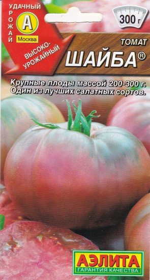 Томат «Шайба»