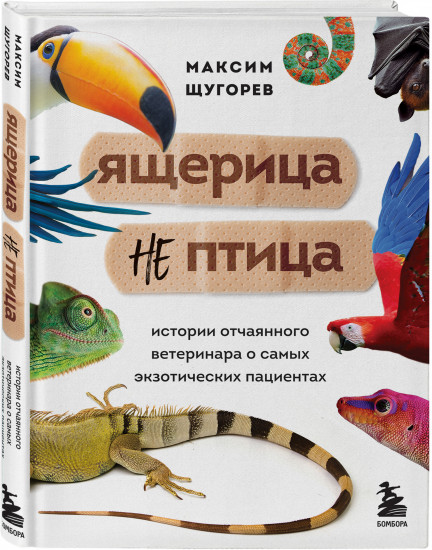 Ящерица не птица. Истории отчаянного ветеринара о самых экзотических пациентах